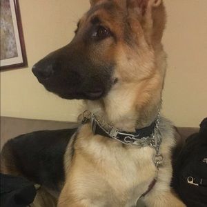 Meet your Posher, Adan